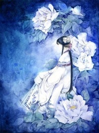 野獸法則[NP]